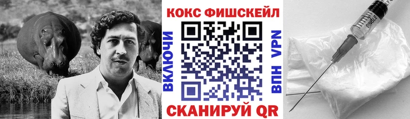 дарнет шоп  Лахденпохья  Кокаин Эквадор 