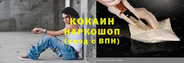 прущий лед Алзамай