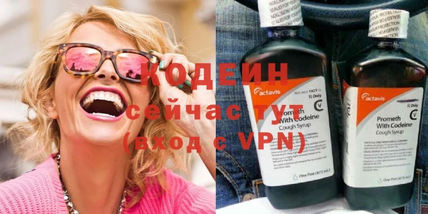дживик Майский