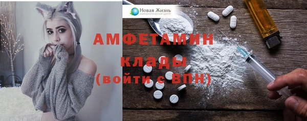 прущий лед Алзамай